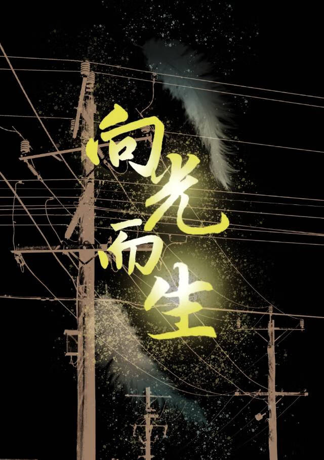 [柯南]向光而生