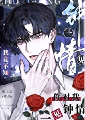 荤素不忌的颜狗注定做不了直男