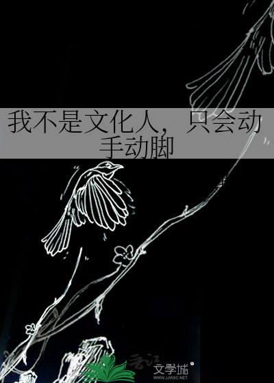 我不是文化人，只会动手动脚