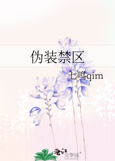 伪装禁区